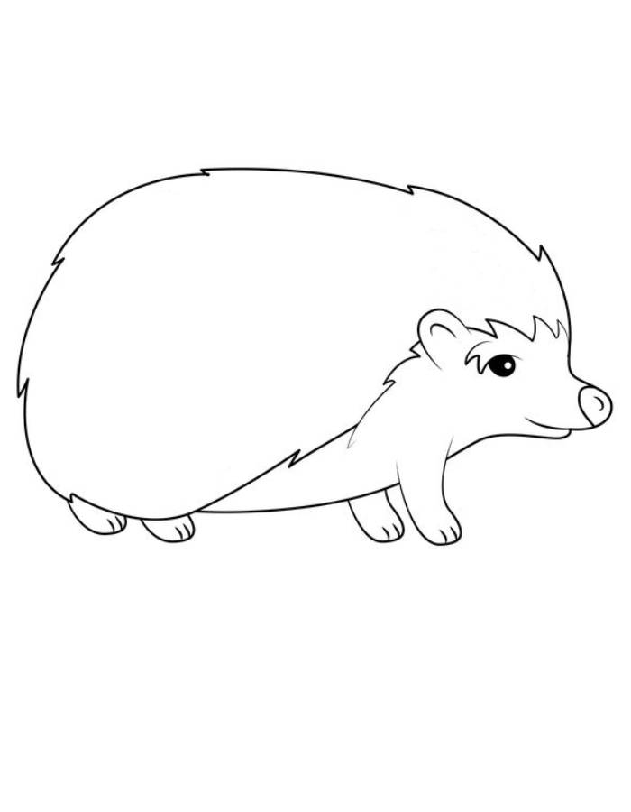Hedgehog Printable Template Coloring Page