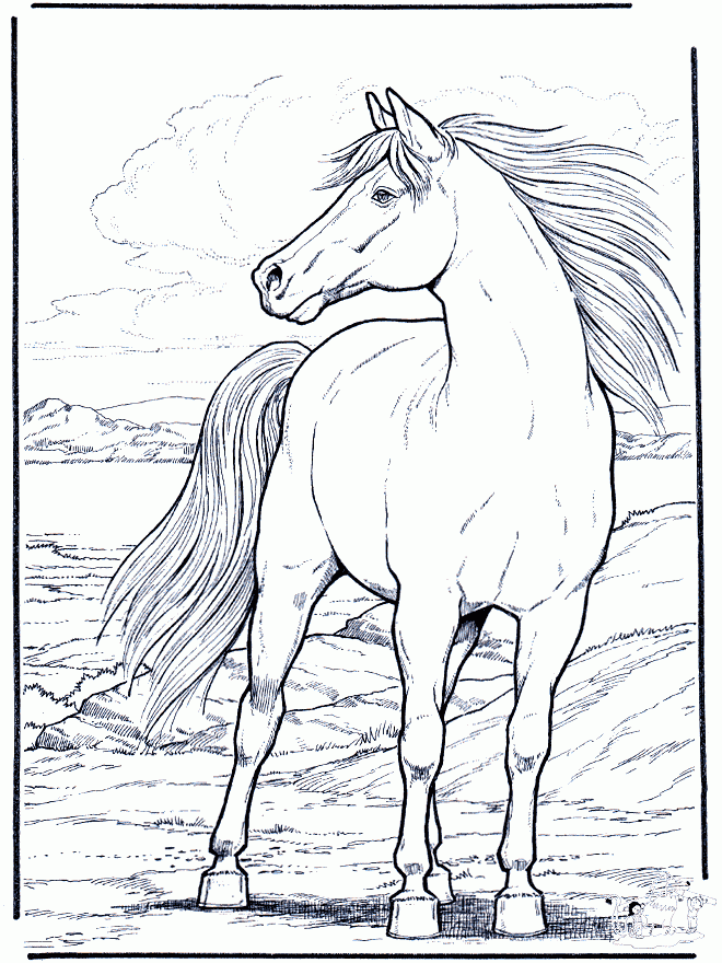Horse Coloring Free Animal Coloring Pages Sheets Horse