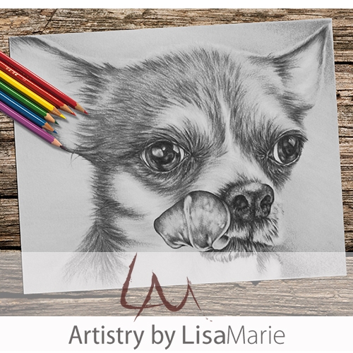 Images Of Dog Coloring Sheets To Printable Chihuahua Infoupdate