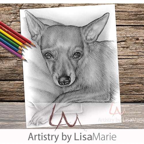 Images Of Dog Coloring Sheets To Printable Chihuahua Infoupdate
