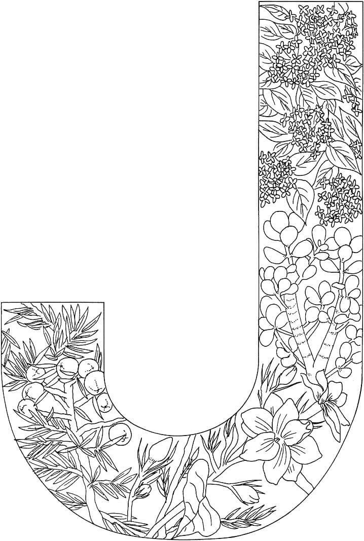Jaguar Letter J Coloring Page Free Printable Coloring Pages For Kids