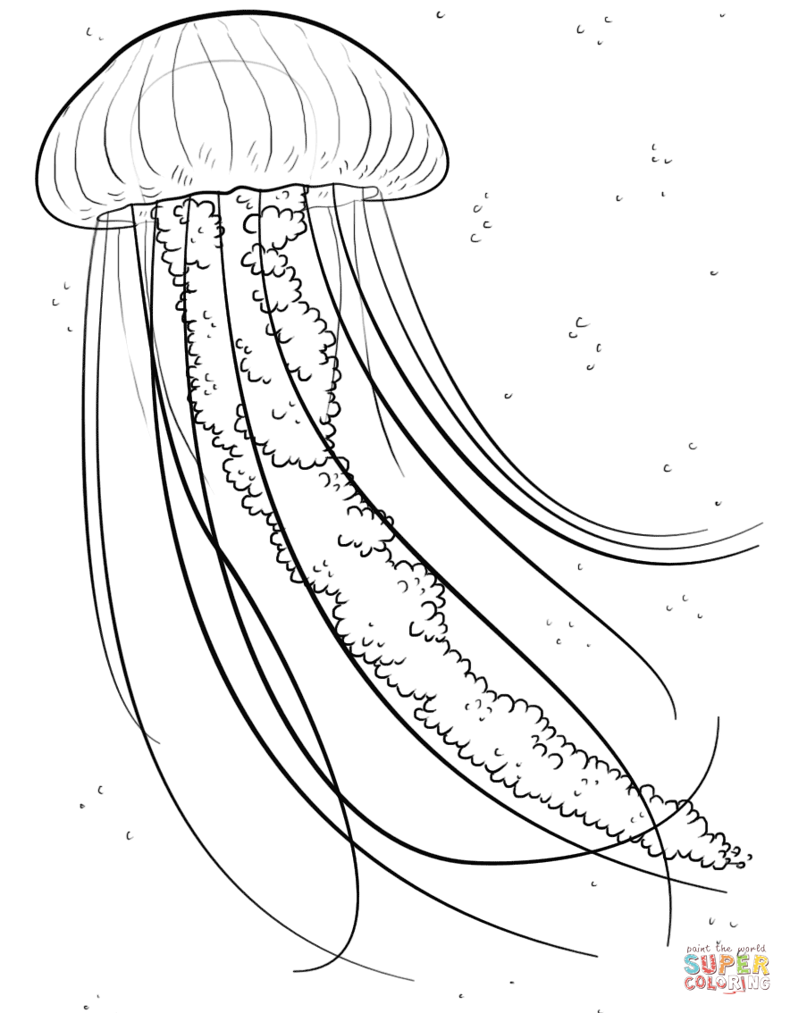 jellyfish fish print out