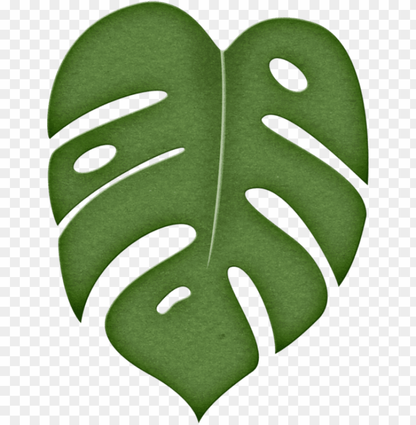 Jungle Leaf Outline Leafandtrees