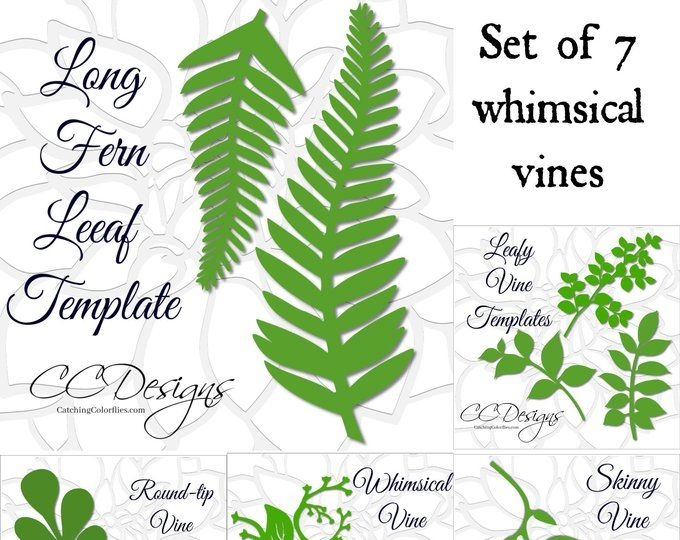 Jungle Safari Leaf Templates Printable Jungle Leaf Templates Etsy