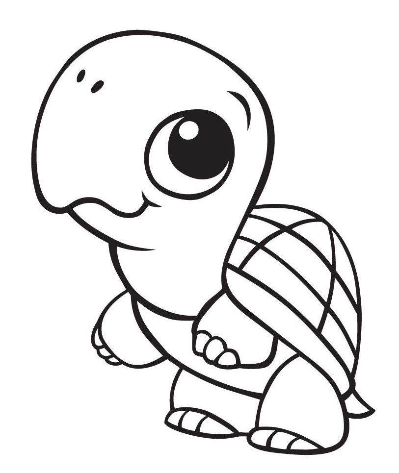 Kids Coloring Pages Printable Turtle