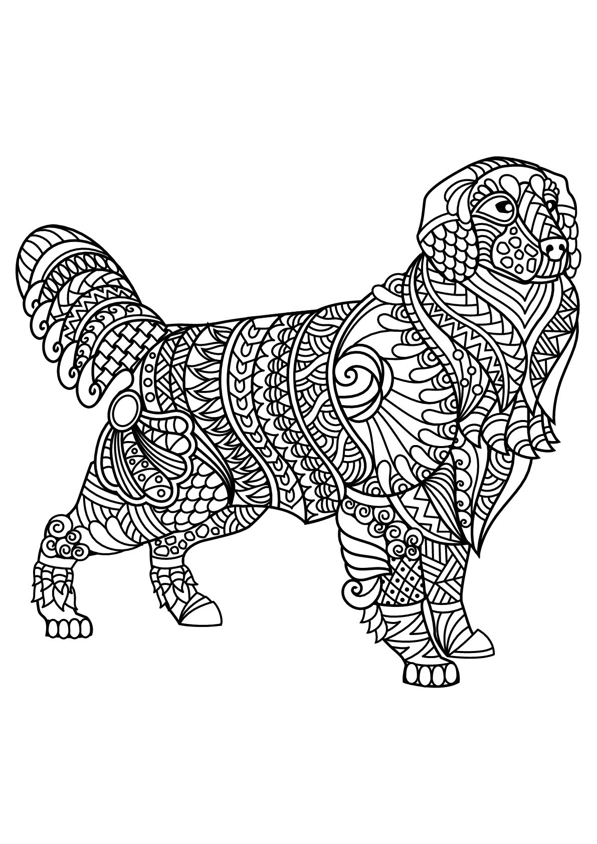 Labrador Dog Coloring Pages For Kids
