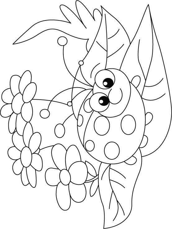 ladybug free coloring page