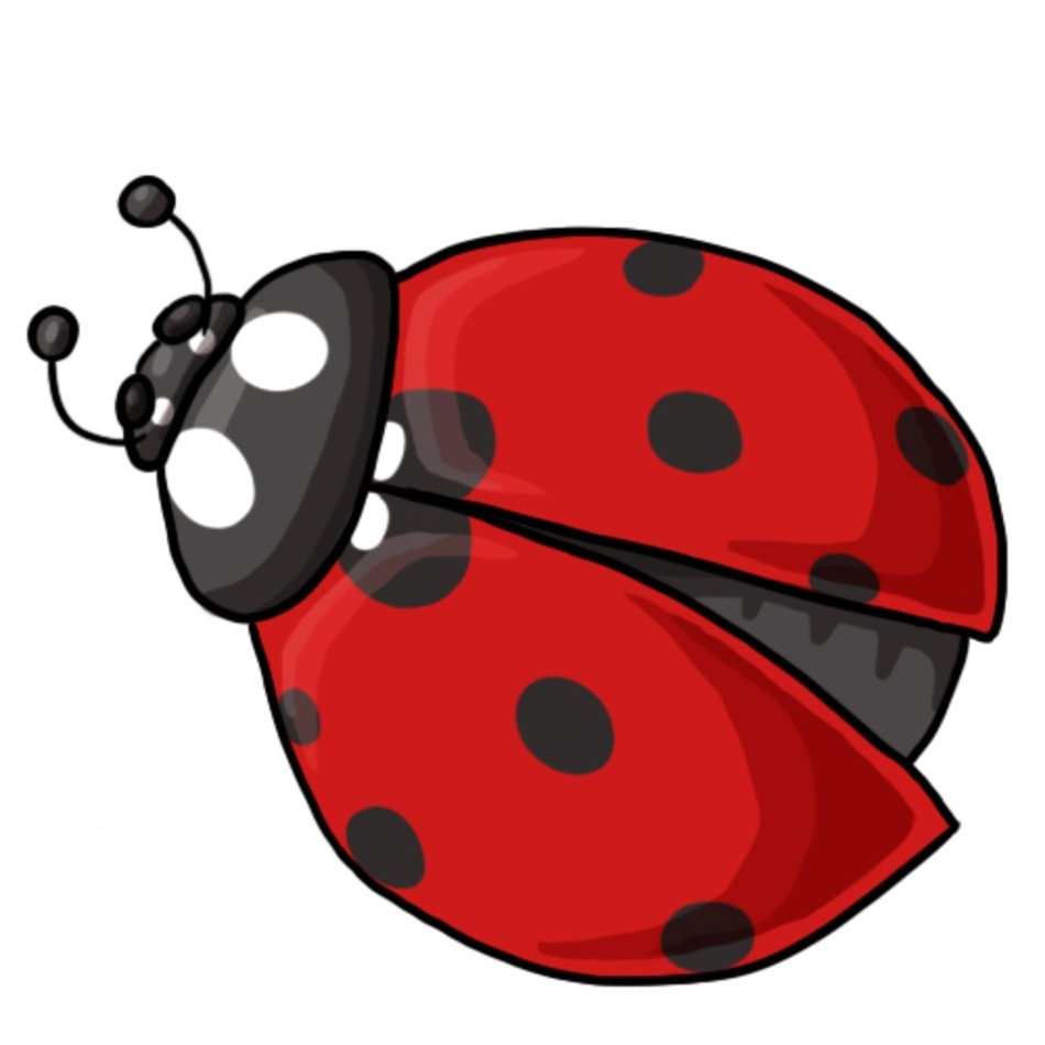 Ladybugs Clipart Printable Ladybugs Printable Transparent FREE For