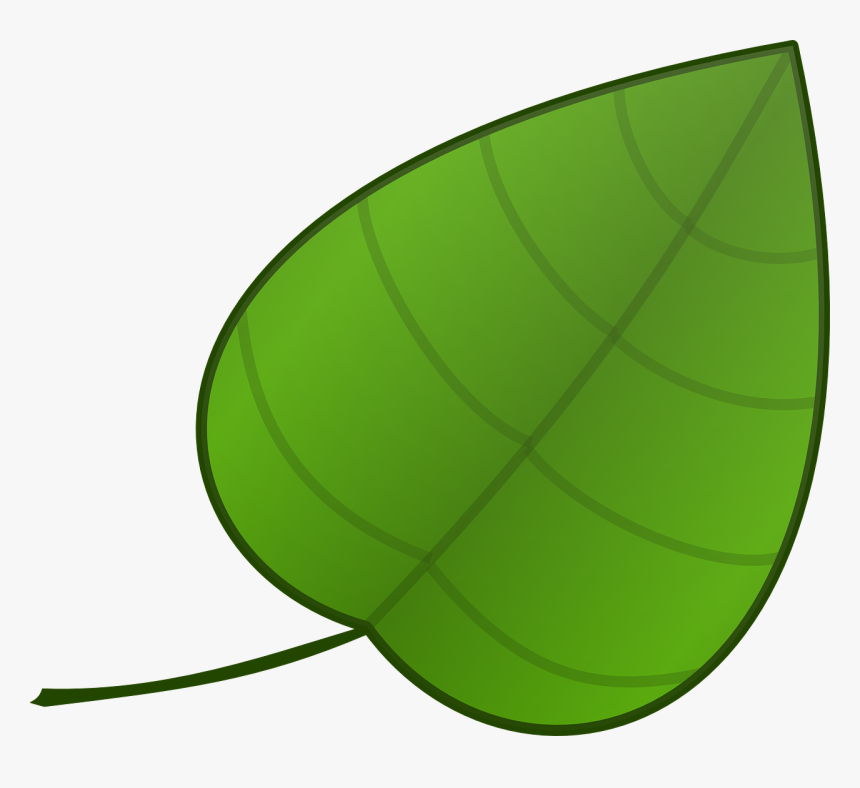 Leaf Template Leaf Template Printable Leaf Coloring Page