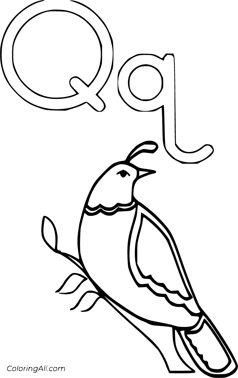 Letter Q Coloring Pages 26 Free Printables ColoringAll