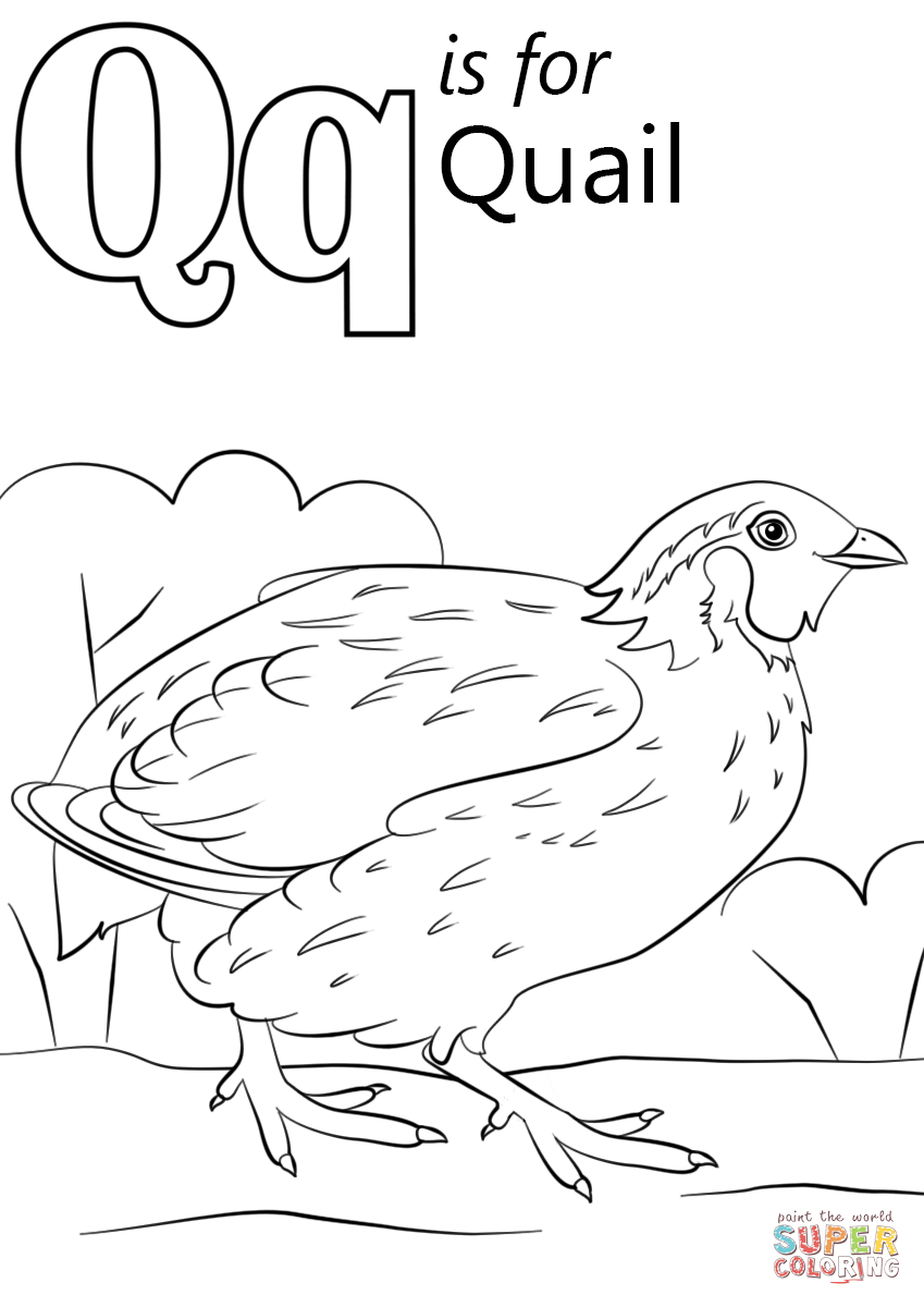 letter q coloring pages for preschool