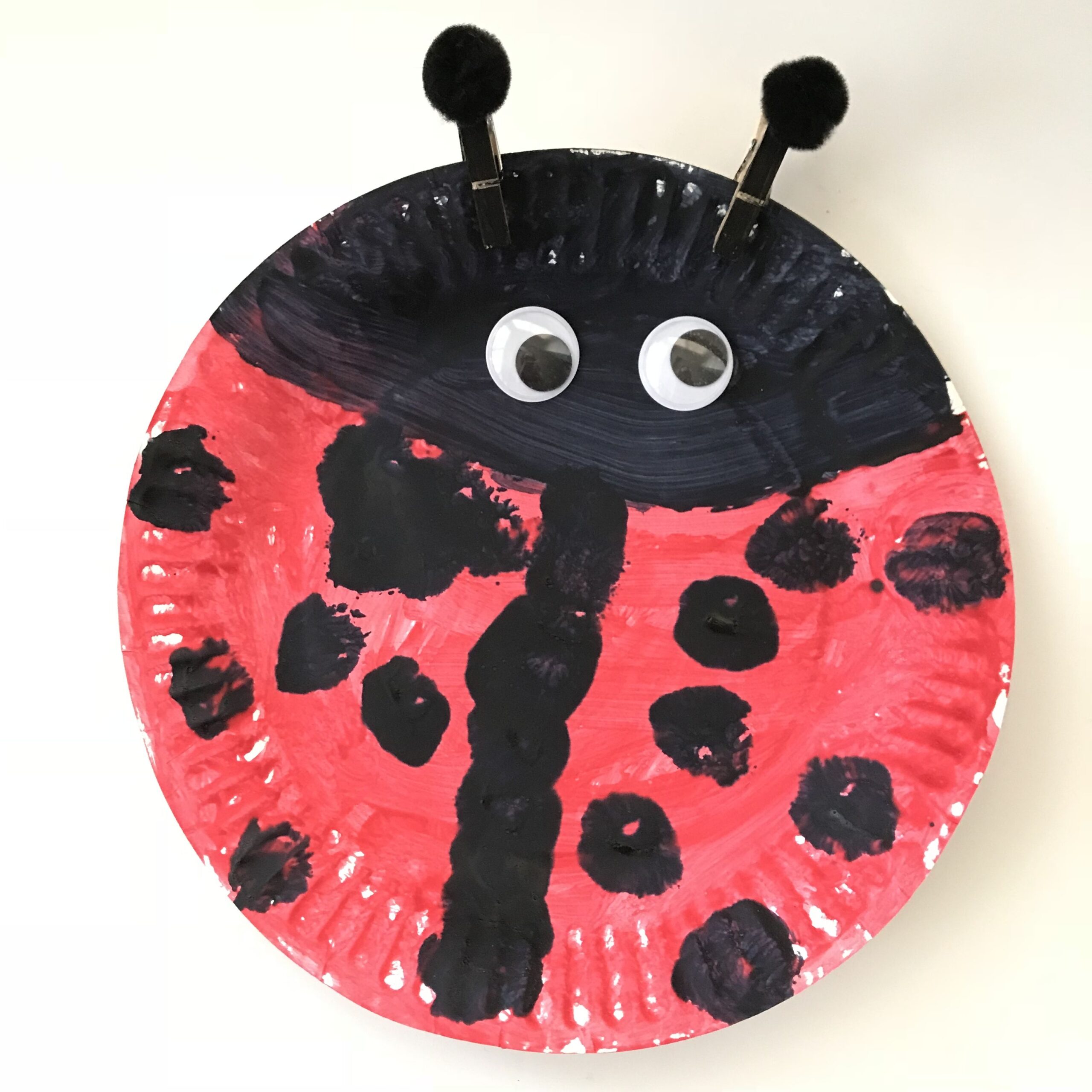 Little School Of Smith s Ladybug Week Ladybug Room Ladybug Life Cycle 