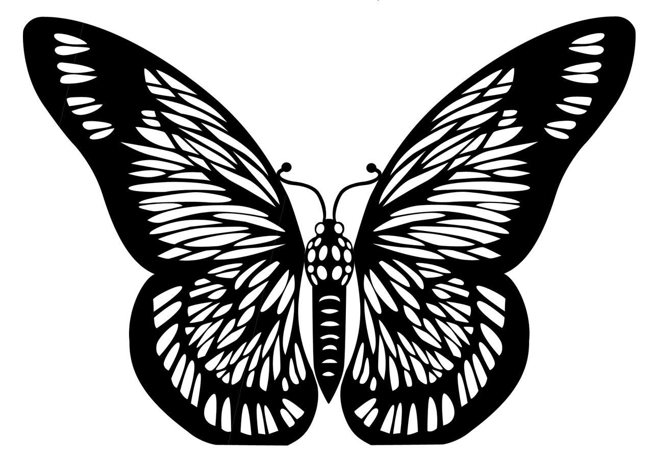 Monarch Butterfly Stencil ClipArt Best