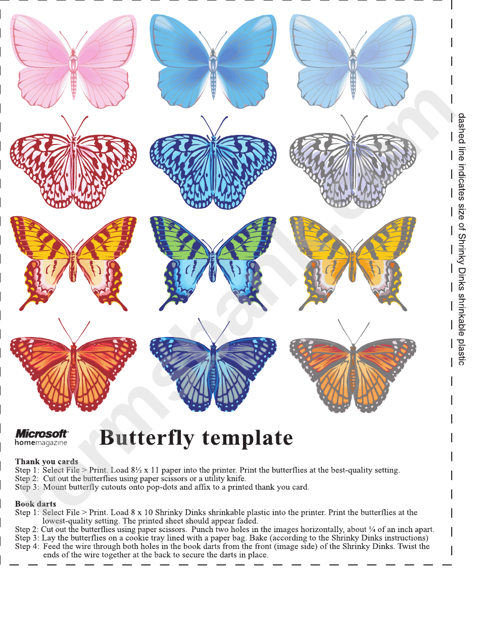 Multricolor Beautiful Butterfly Template Printable Pdf Download