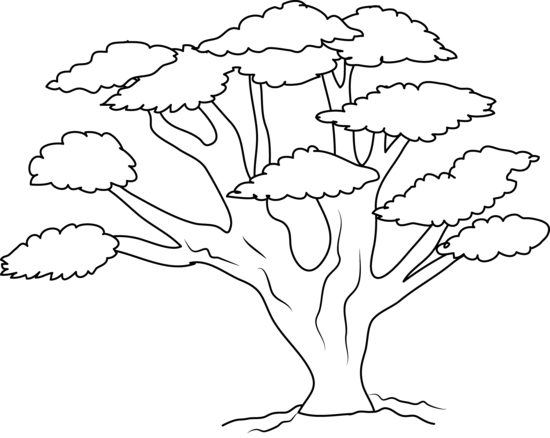Oak Tree Coloring Page Free Clip Art