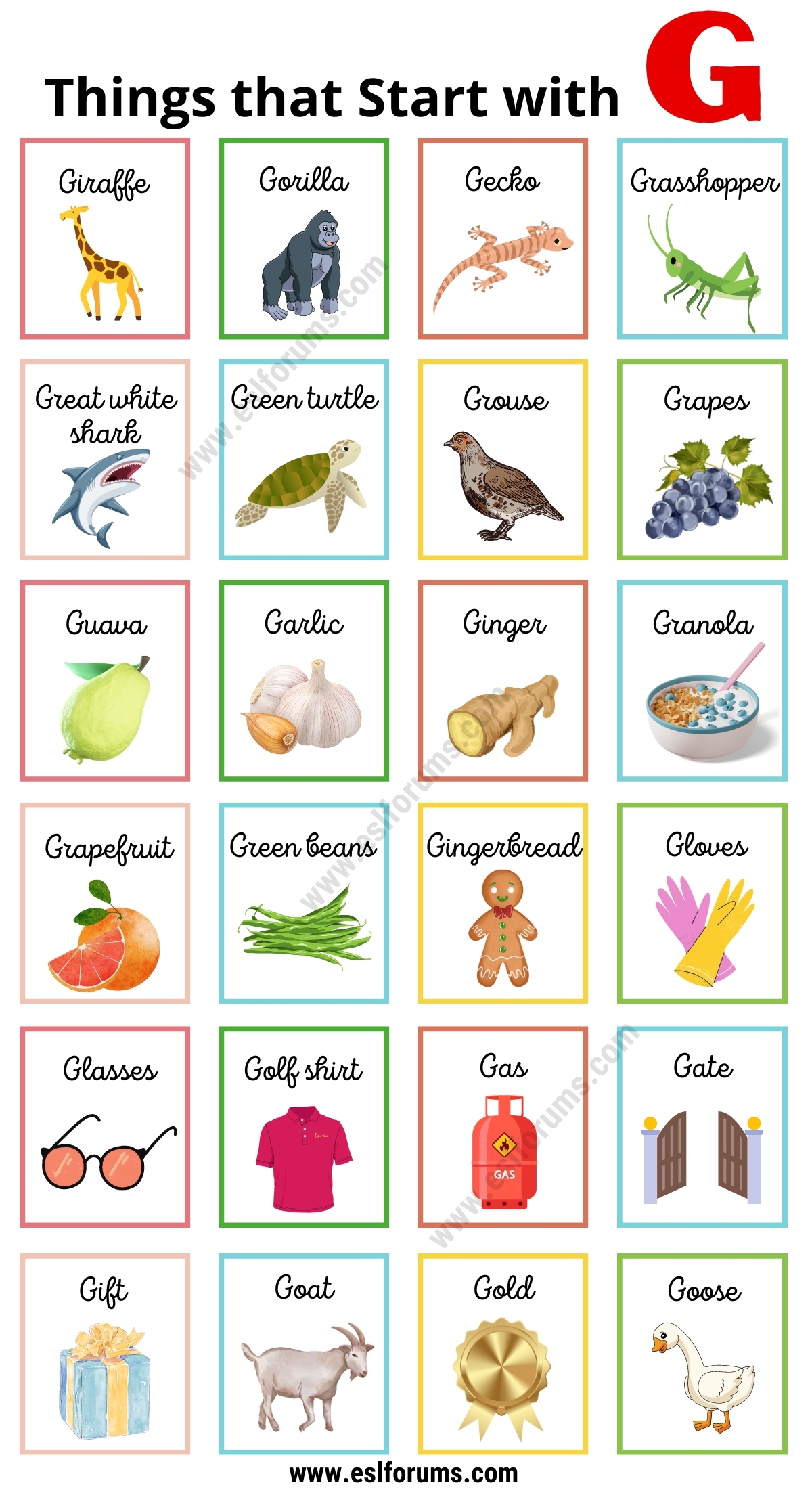 Objects That Start With G Archives ESL Forums