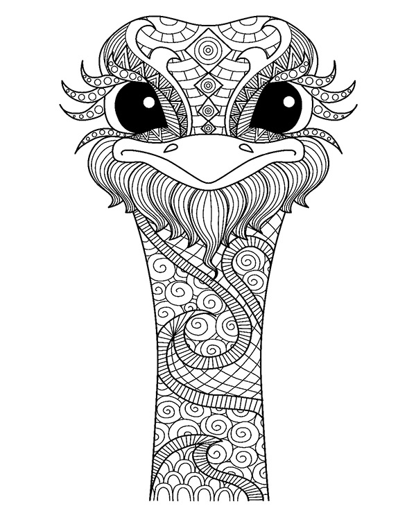 Ostrich Free Coloring Page For Adults