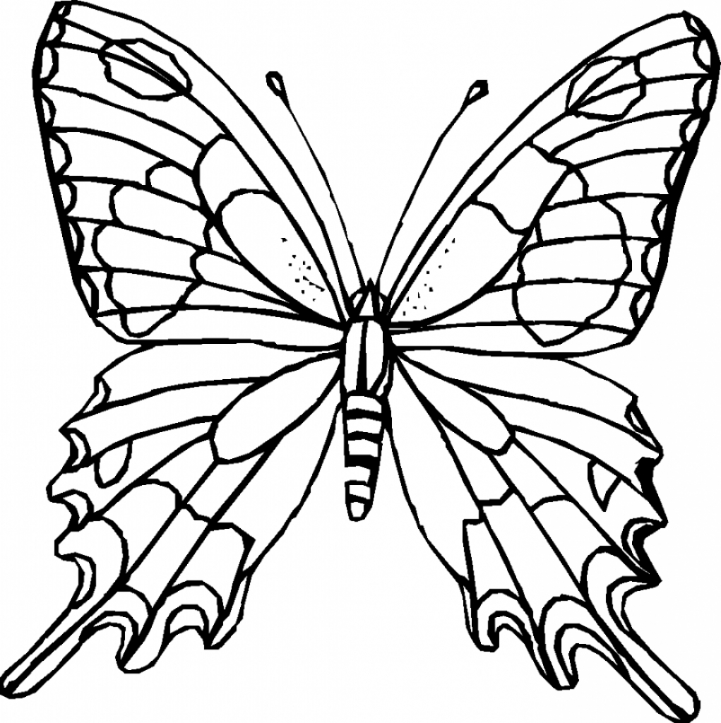 3 Butterfly Outline