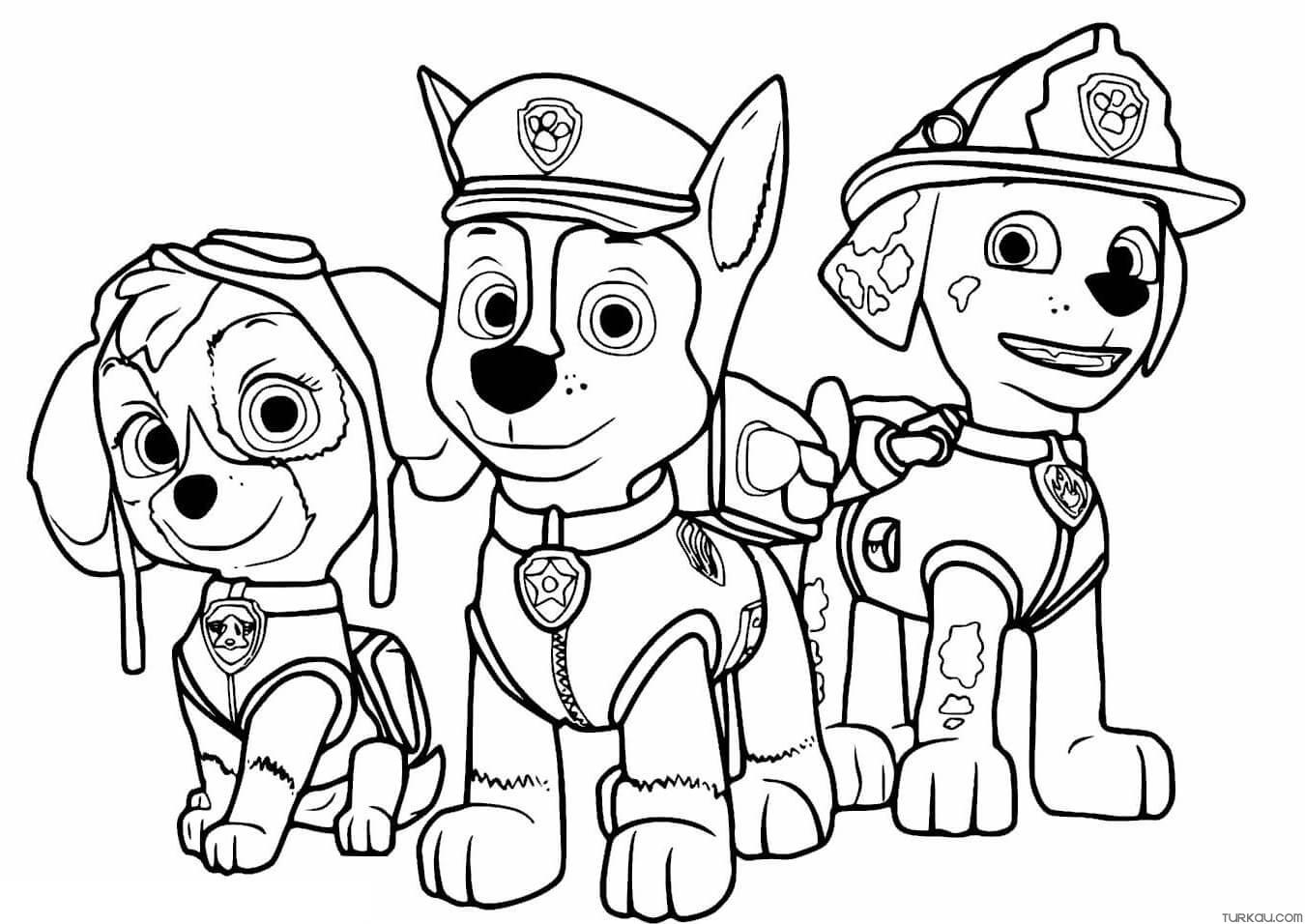 PAW Patrol Coloring Pages Add Colors To Your 20 Favorite 56 OFF