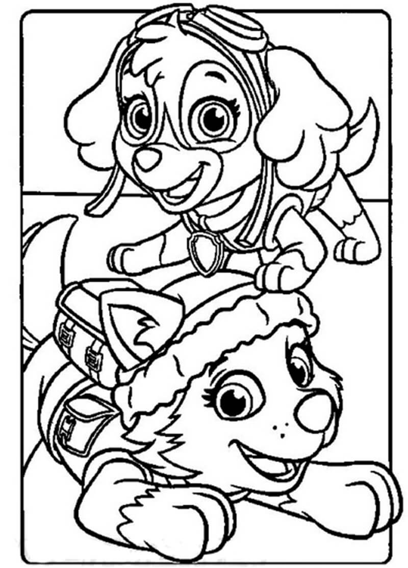 Paw Patrol Printable Coloring Pages Skye Free Coloring Sheet 