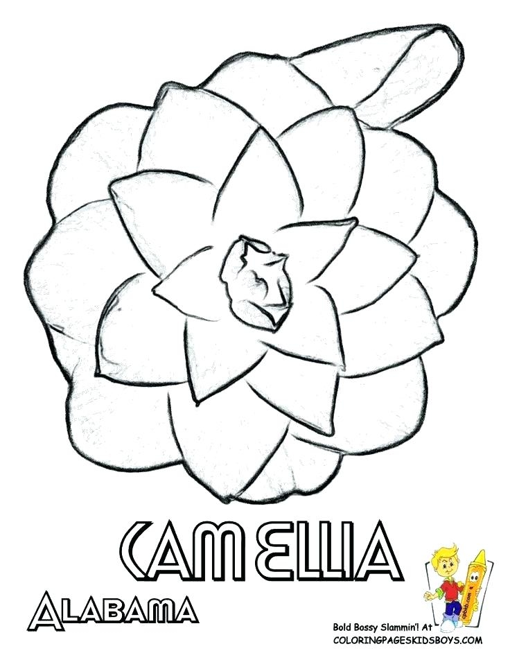 Pennsylvania Coloring Pages At GetColorings Free Printable 