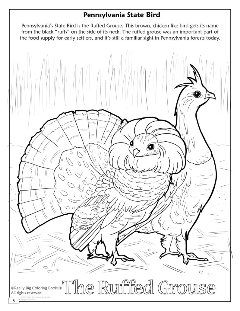 Pennsylvania State Coloring Book 8 5 X 11