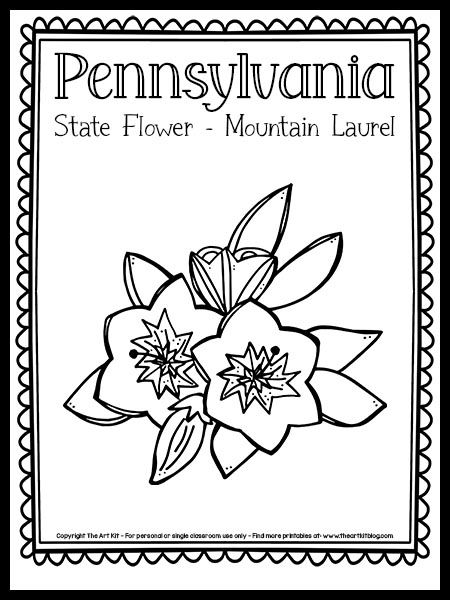 Pennsylvania State Flower Coloring Page Mountain Laurel FREE