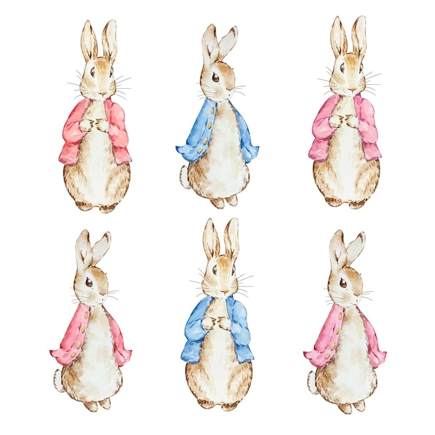 Peter Rabbit Pictures Free Infoupdate