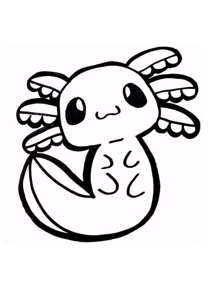 Pin On Charlotte