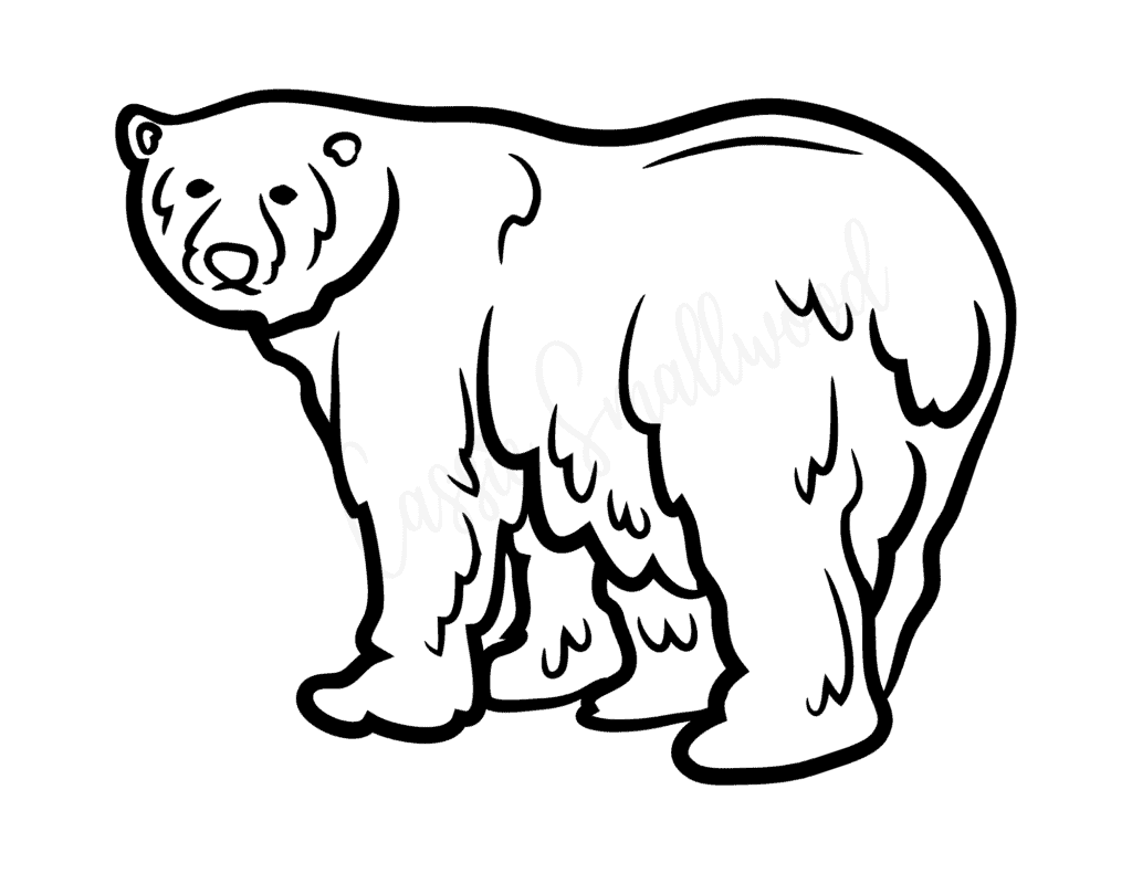 Polar Bear Outline Printable