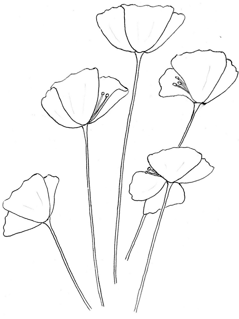 simple poppy template