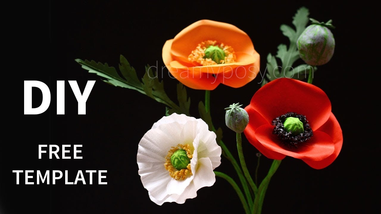 free printable paper poppy