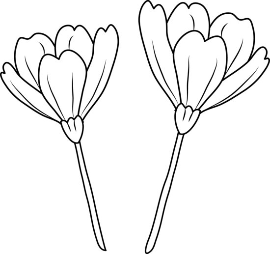 flowers clip art coloring