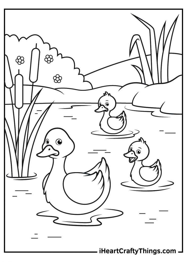 Printable Adult Coloring Pages Ducks Coloring Pages