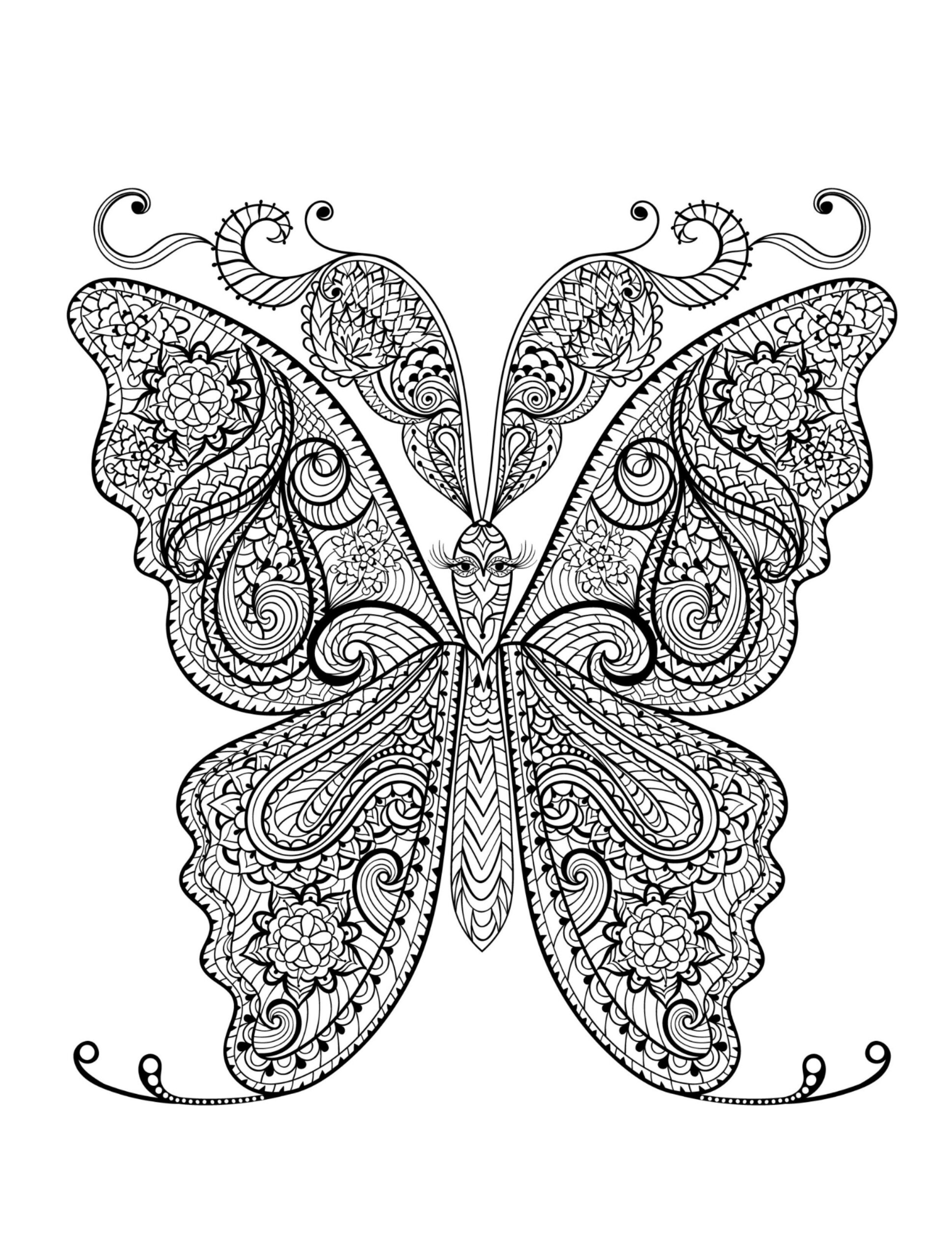 free printable adult color