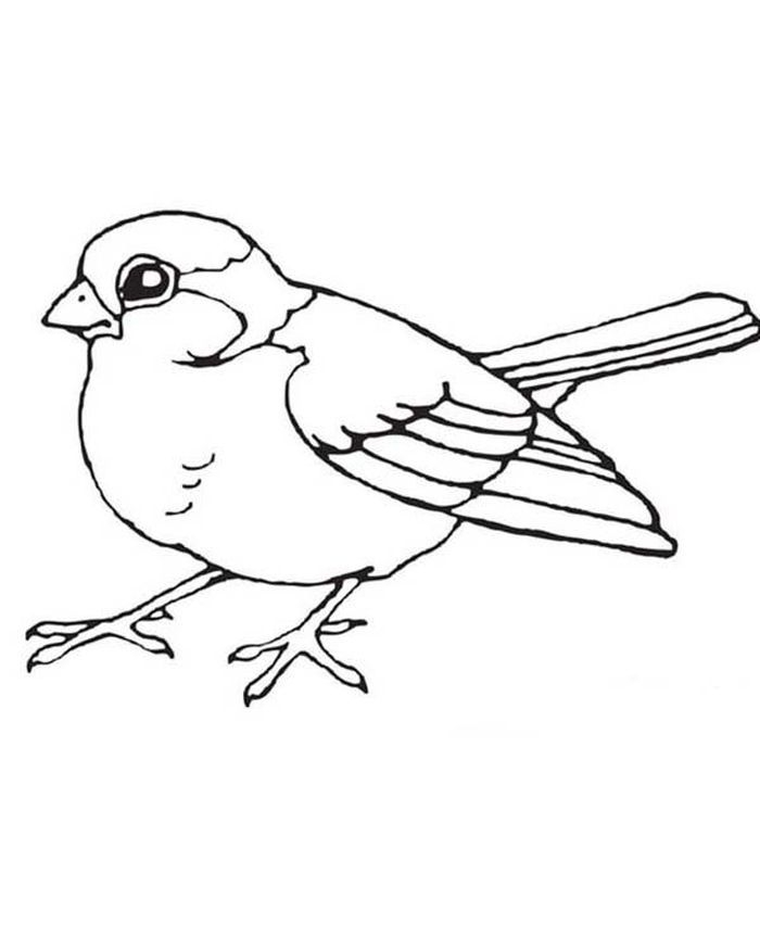 Printable Bird Coloring Pages