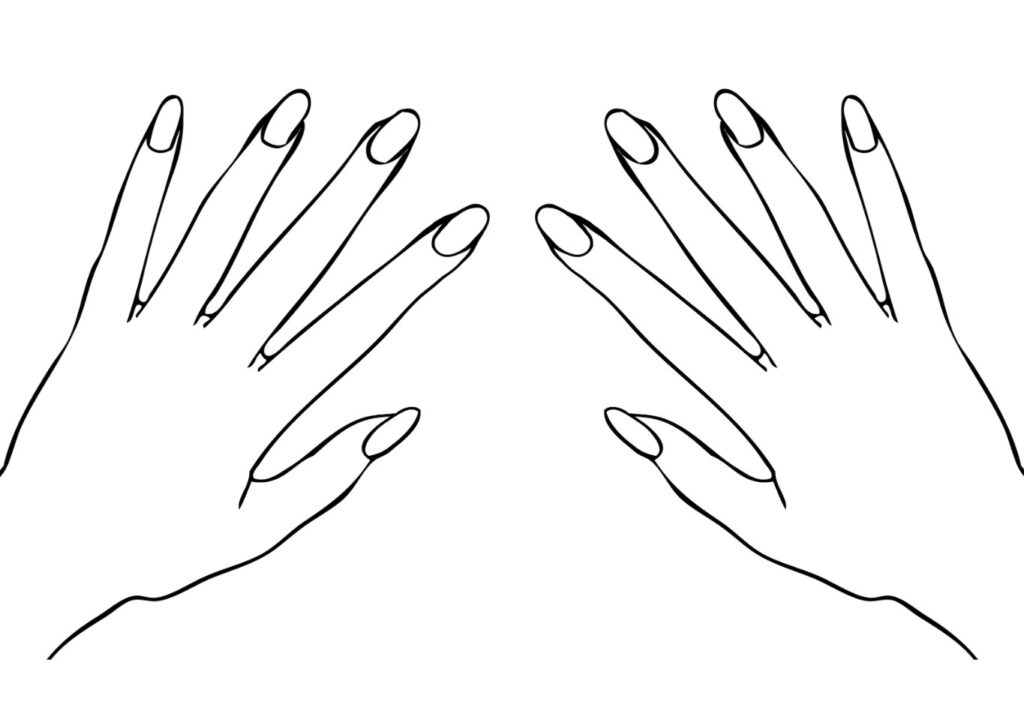 Printable Blank Nail Template Printable JD