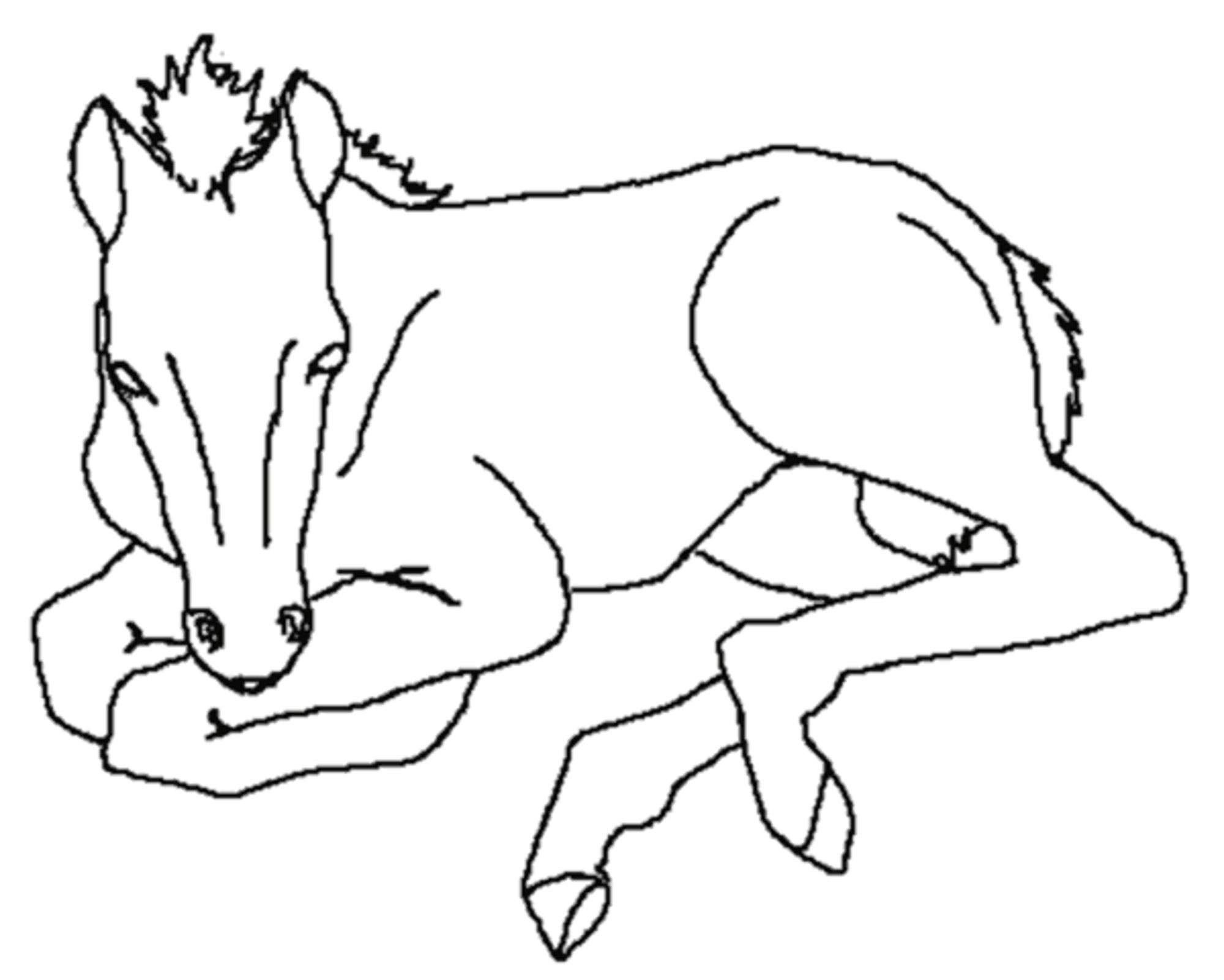 printable coloring page horse