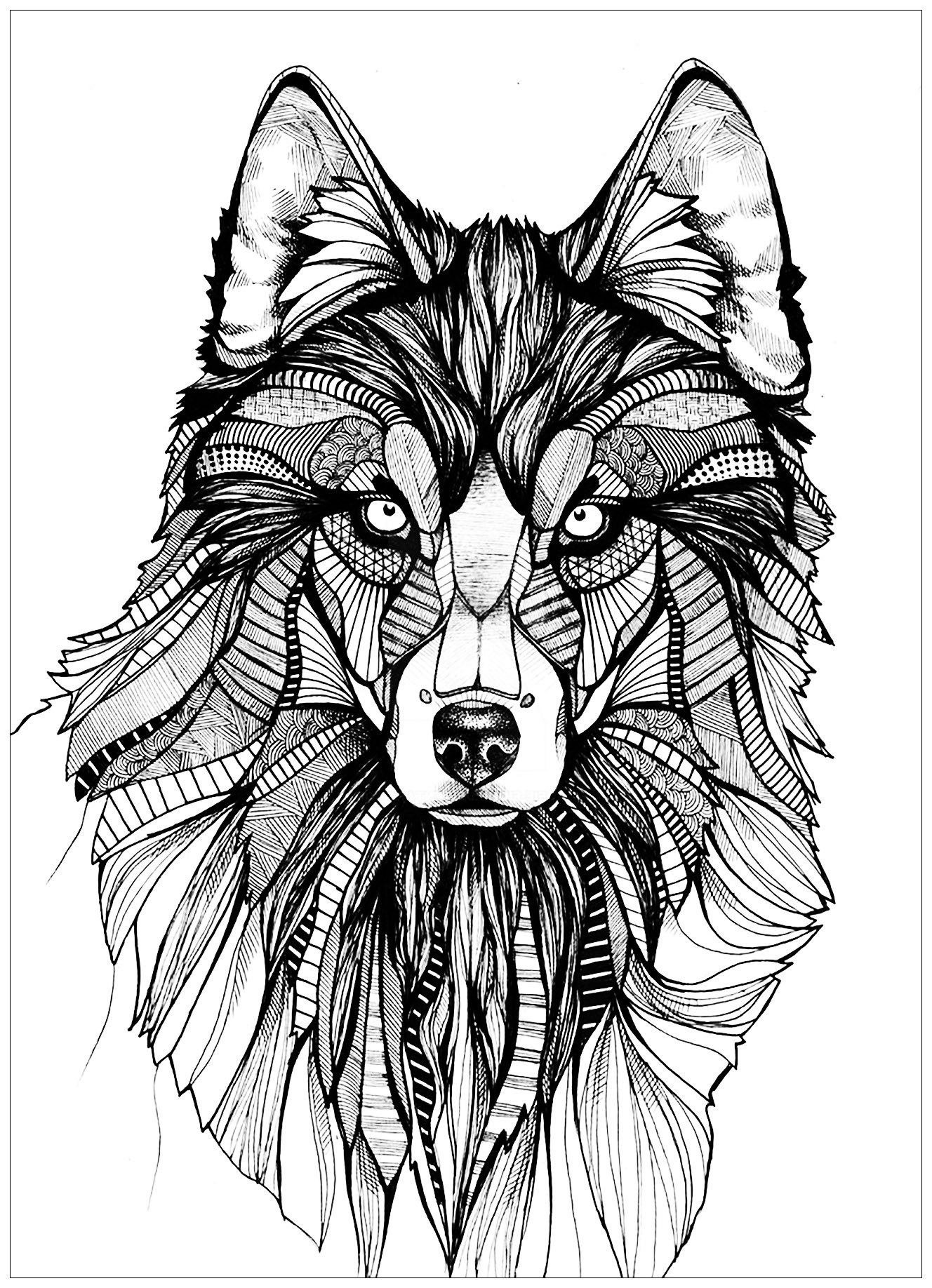 coloring pages printable wolves