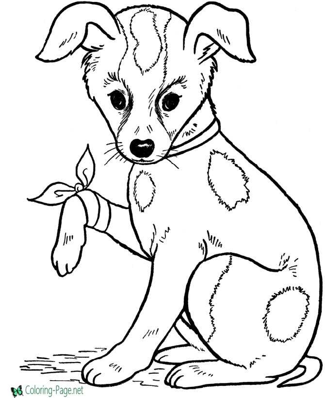printable coloring sheets dogs