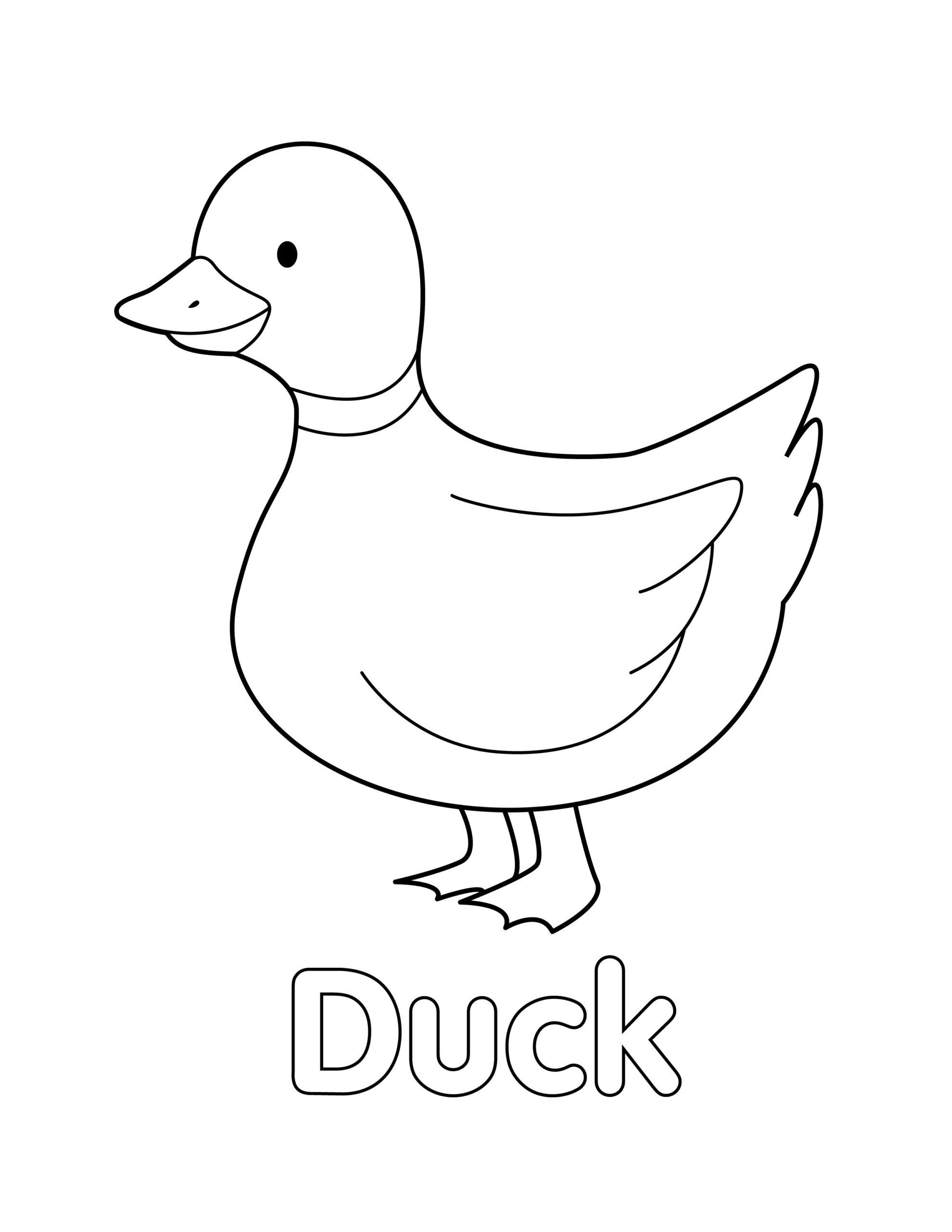 Printable Duck Coloring Page For Kids