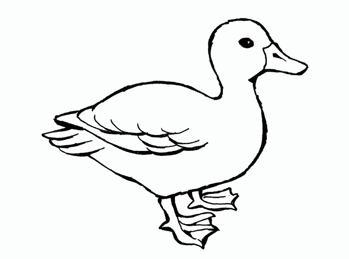 free printable ducks