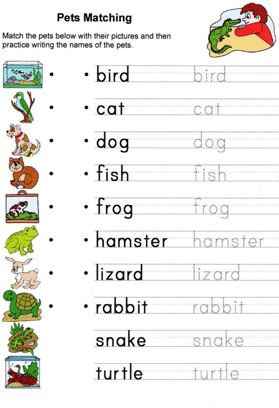 simple english worksheets for kids