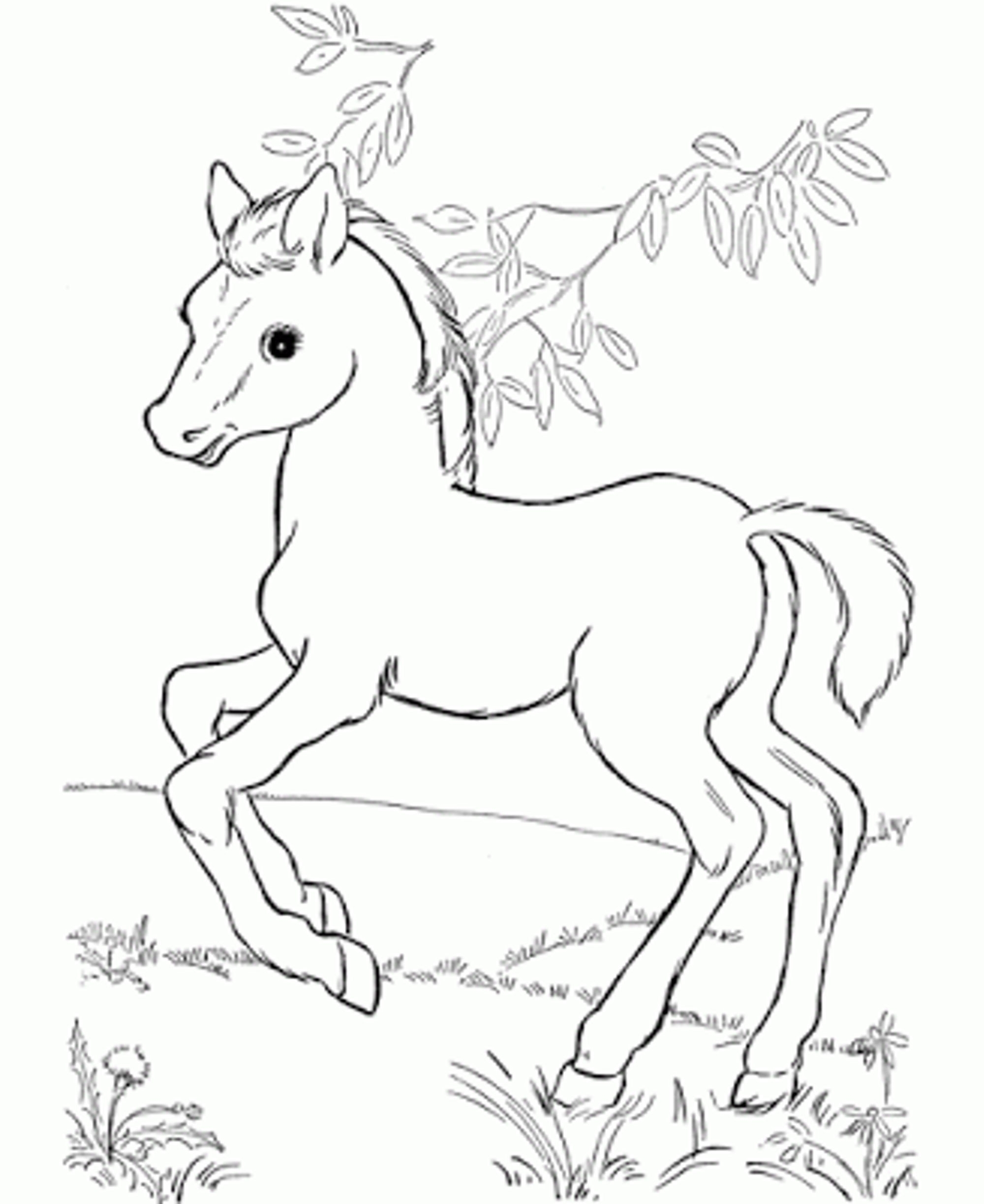 horse coloring sheets printable