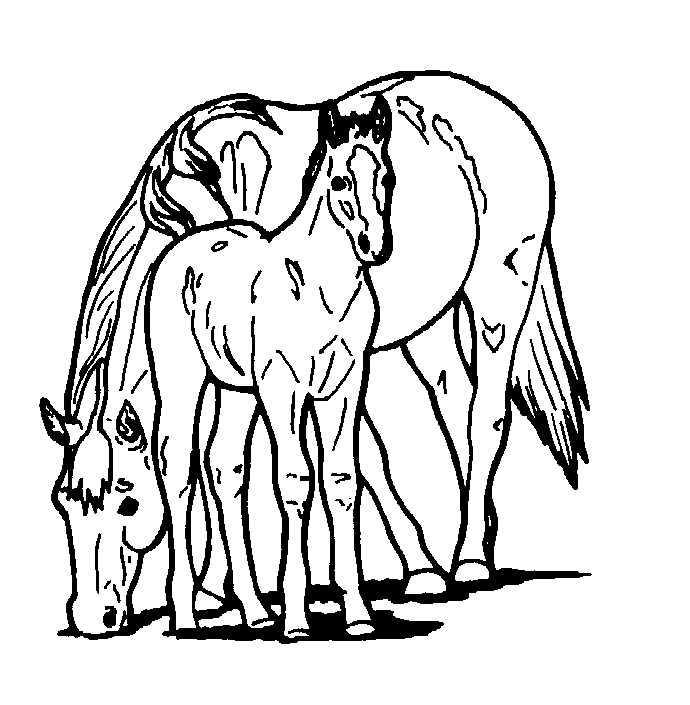 free printable horse pictures colored