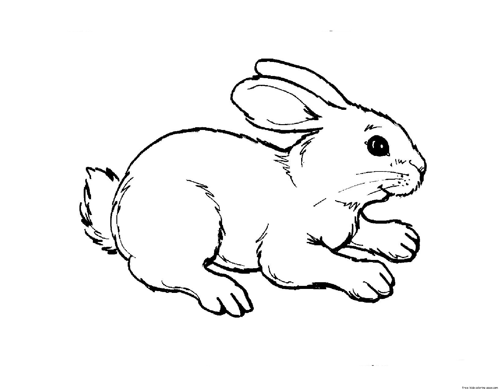 printable rabbit pictures free