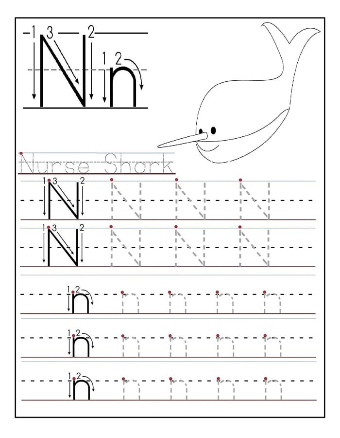 Printable Letter N Tracing Vocabulary Free Download And Print For You