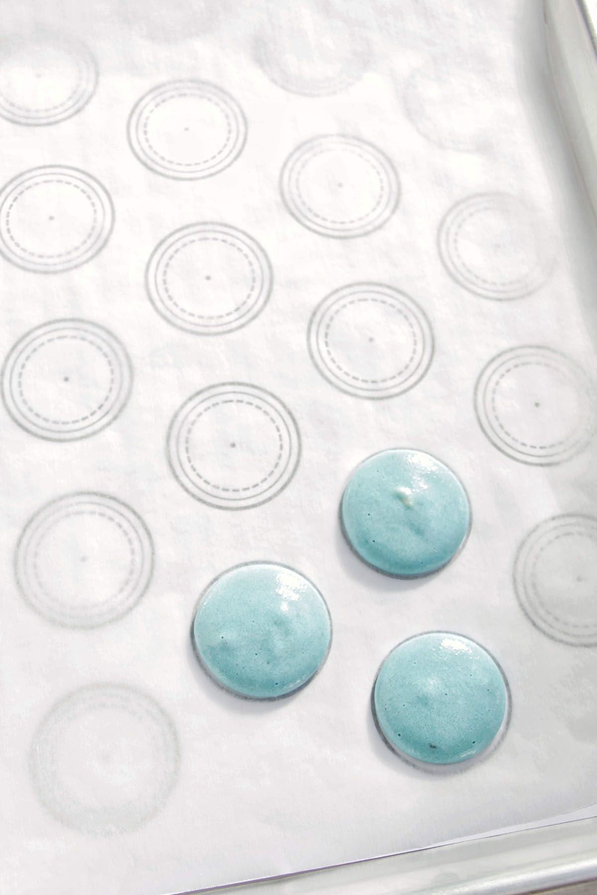 printable macaron template