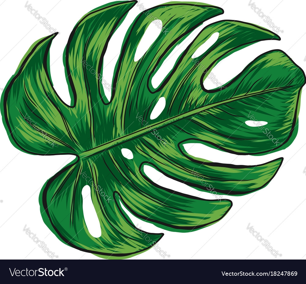 Printable Monstera Leaf
