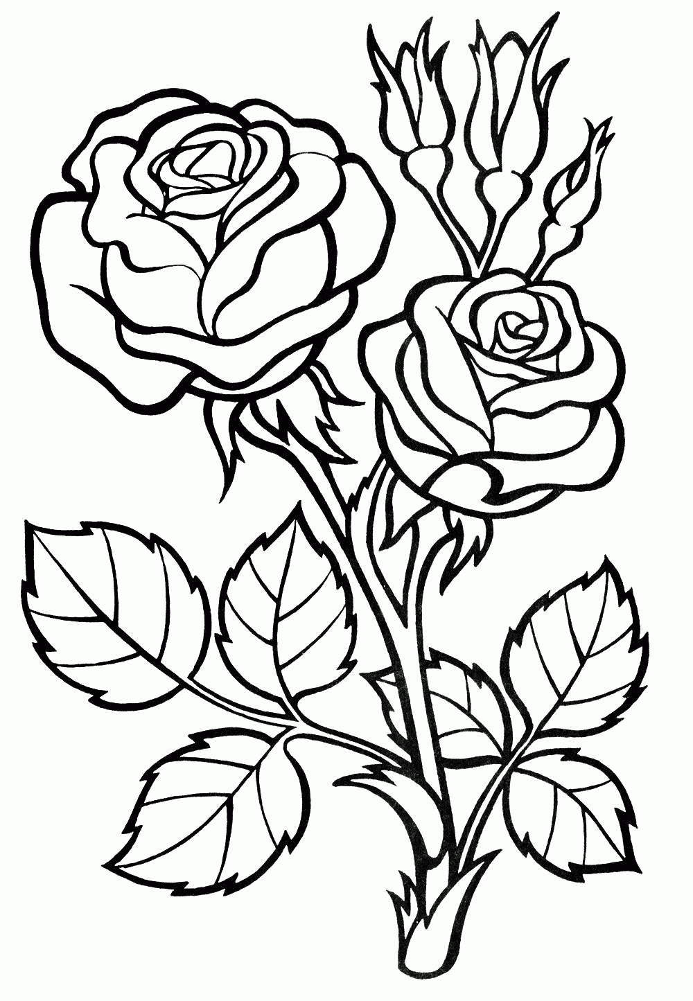 rose color sheets printable